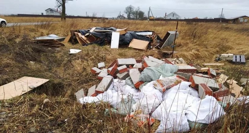 Губернатор Авдеев направил 87 млн рублей муниципалитетам на решение вопросов с отходами