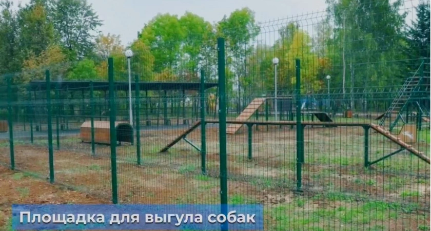 Фото к статье: Город Владимир вошел в программу благоустройства «Пять шагов для городов»