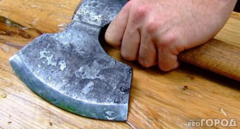 Зарубивший своего деда житель Юрьев-Польского района осужден на 9,5 лет