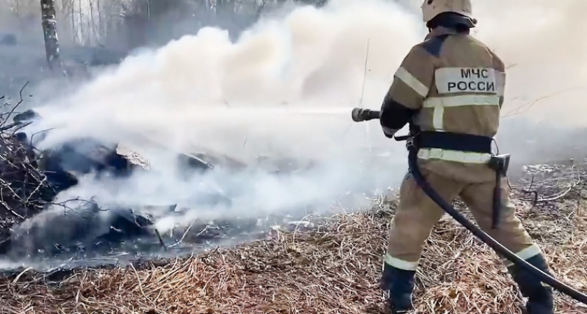 Жителей Владимирской области предупреждают о высоком уровне пожароопасности