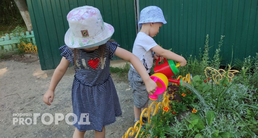 Приставы Владимирской области взыскали более 95 млн рублей алиментов в пользу детей