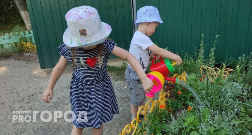 Фото к статье: Приставы Владимирской области взыскали более 95 млн рублей алиментов в пользу детей