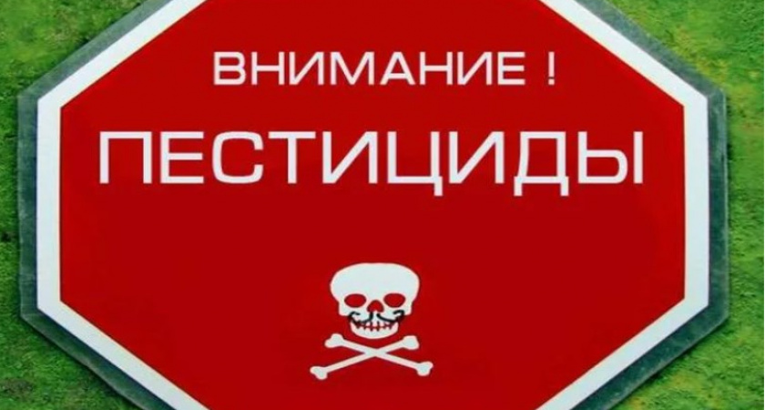 Серийные похитители ядохимикатов из Владимирской области отправятся в колонию