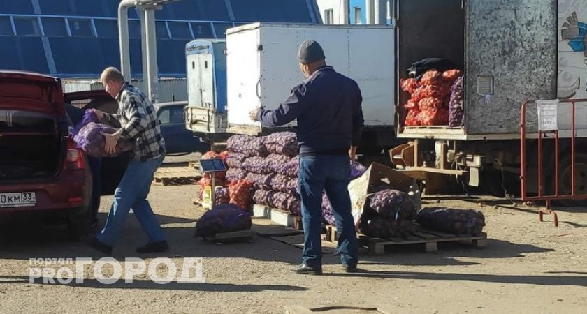 Владимирским дачникам пригрозили штрафами за торговлю урожаем