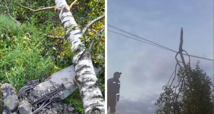 Фото к статье: Владимирские энергетики восстановили энергоснабжение у 95% пострадавших от стихии жителей