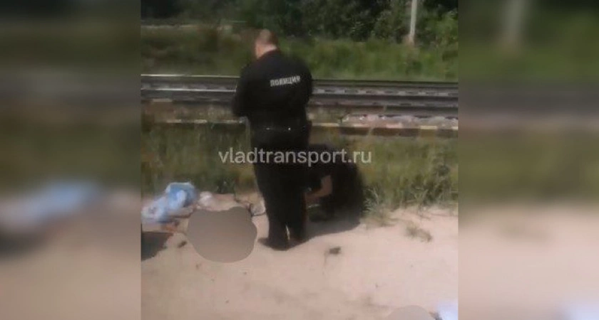 Фото к статье: Во Владимире в Яме электричка разрезала пополам велосипедиста