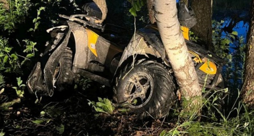 В ДТП в Камешковском районе скончался водитель снегоболотохода
