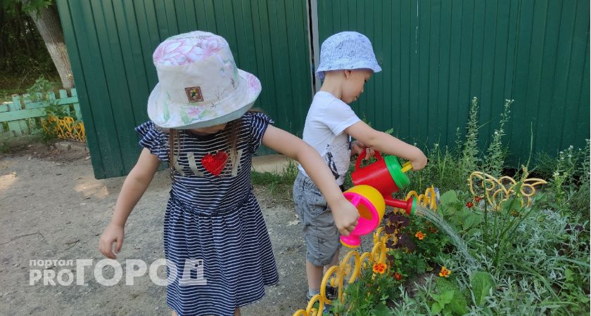 С 1 июля часть владимирских семей перестанет получать региональные детские выплаты 