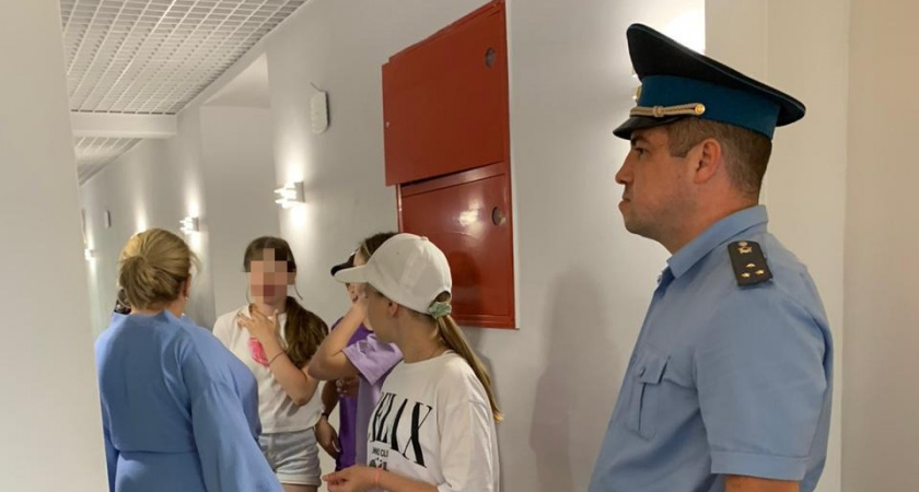 Судебные приставы приостановили деятельность детского лагеря в Петушинском районе