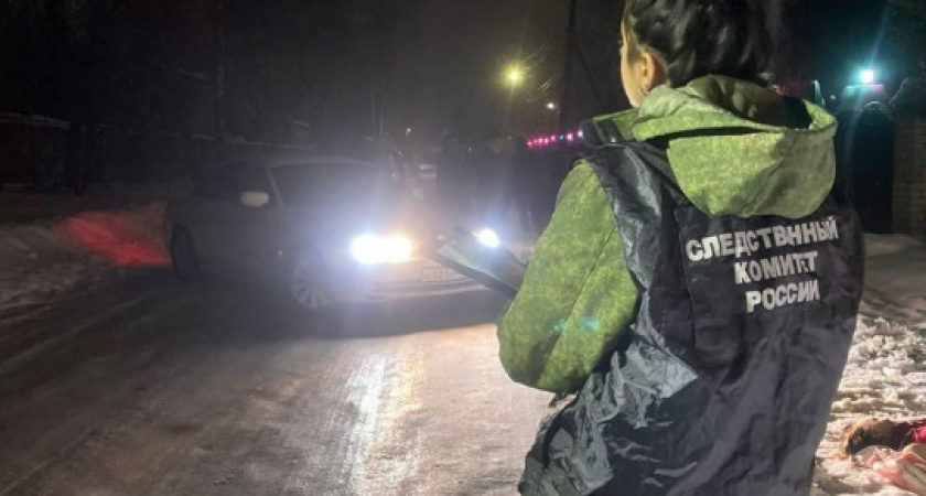 Во Владимирской области будут судить иностранца за убийство в новогоднюю ночь