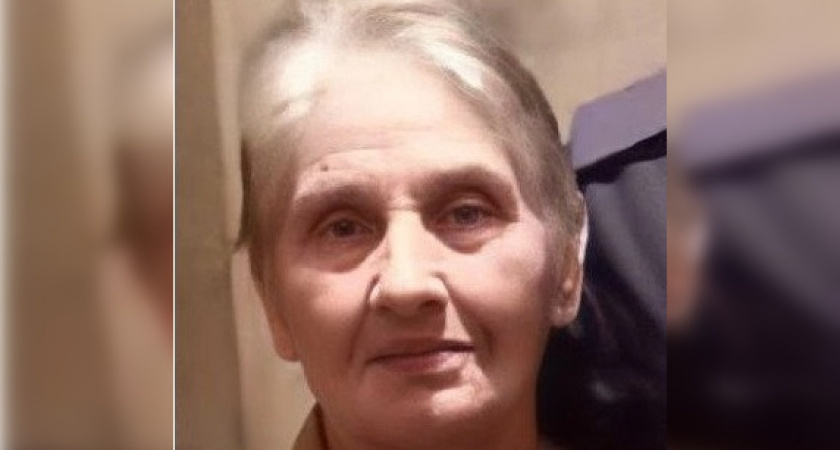 Во Владимире уже несколько дней ищут пропавшую 85-летнюю женщину