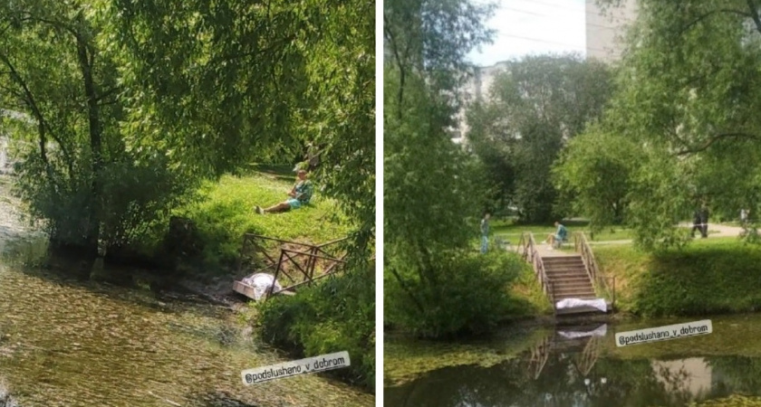 На Красносельском пруду во Владимире обнаружили труп женщины