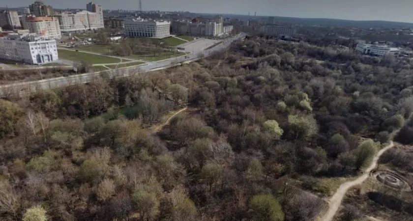 Во Владимире выбрали подрядчика, который разработает проект благоустройства садов у ДДюТ