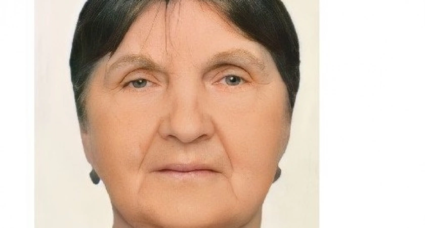 Фото к статье: Во Владимирской области ищут пенсионерку с черной сумкой