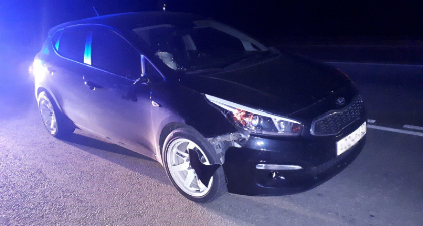 В Суздальском районе сбили мужчину, который ночью переходил дорогу в неположенном месте