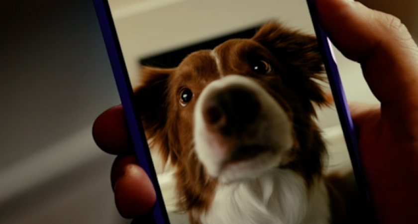 «Ростелеком» зафиксировал летний рост спроса на «дачные» камеры видеонаблюдения на 20%