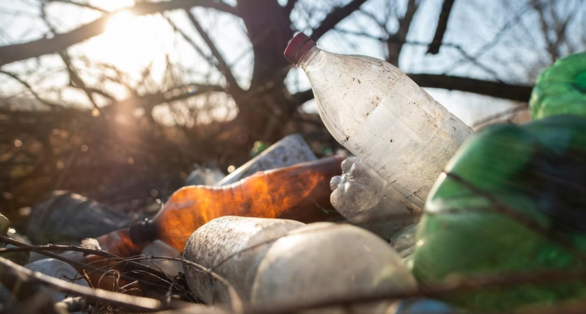 В Киржаче администрация лишилась 128 миллиона рублей на рекультивации свалки