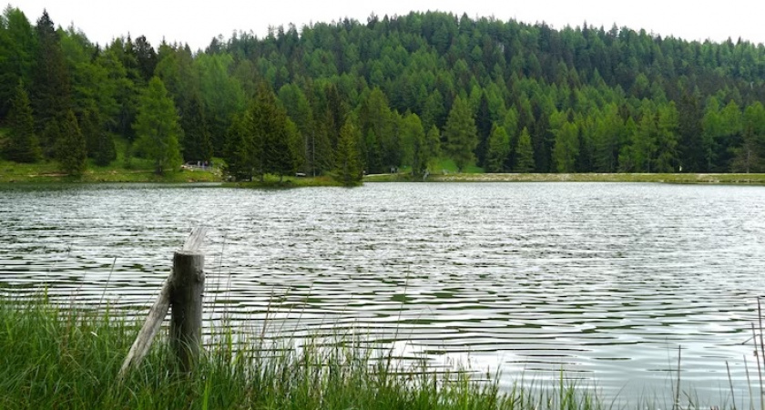 На озере Гусинка в Добром утонул 15-летний подросток 