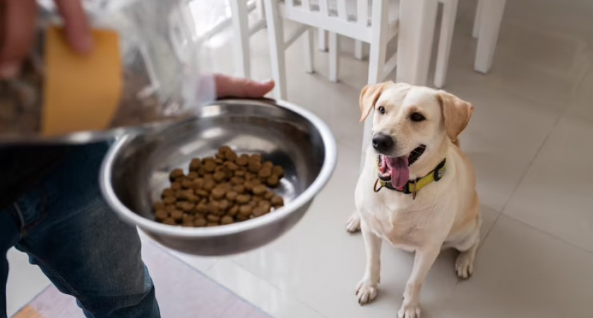 Вызывают токсикоз и опухоль: в кормах для животных нашли опасные бактерии