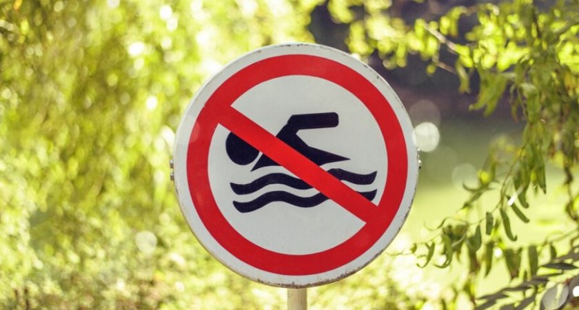 Во Владимирской области 898 мест запрещены для купания