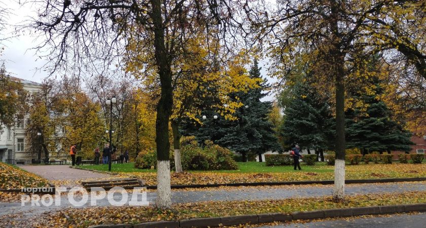 Владимирские синоптики: "В сентябре столбик термометра будет опускаться до нуля градусов"