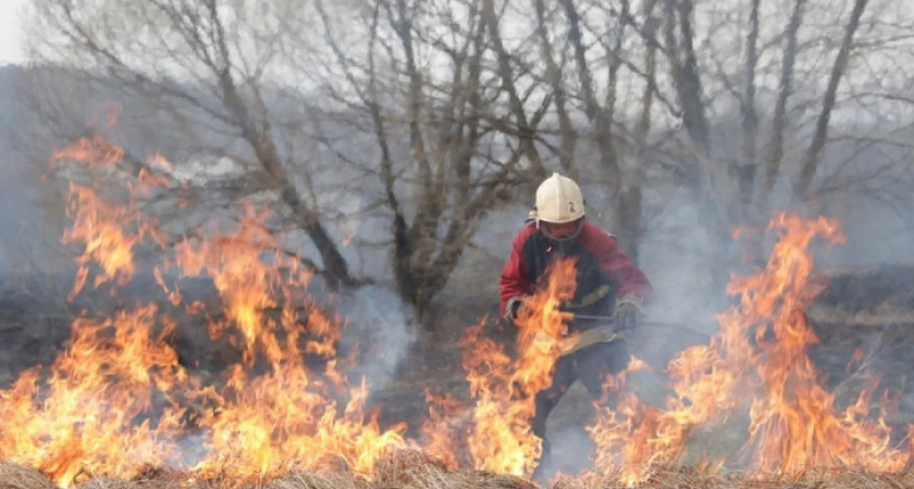 Владимирцам советуют не посещать леса на этой неделе