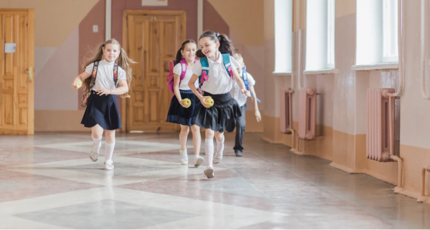 Сборы ребенка в школу во Владимире признаны самыми дешевыми в России