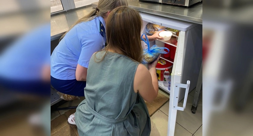 Владимирские шаурмичные, в которых массово отравились люди, работали без лицензии