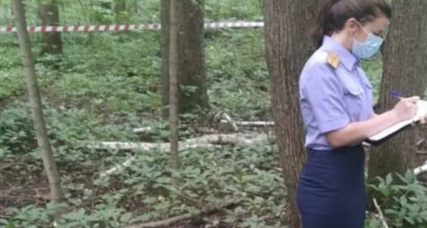 Во владимирском микрорайоне Лесной нашли тело повешенного мужчины