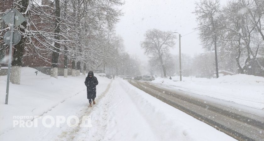 Новая напасть: россиян предупреждают о "бракованной" зиме