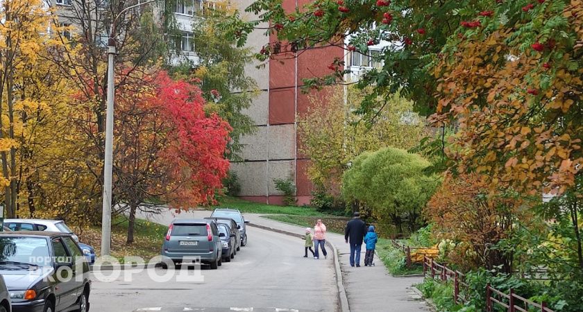 Владимирцев в сентябре ждут 2 волны летнего тепла