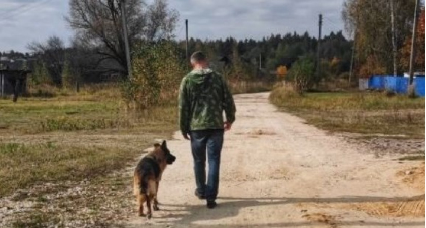 Служебная полицейская собака по выходу на пенсию обрела новый дом и семью во Владимирской области