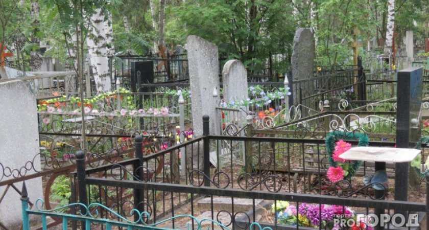 Во Владимирской области 2 иностранца повредили более 70 могил