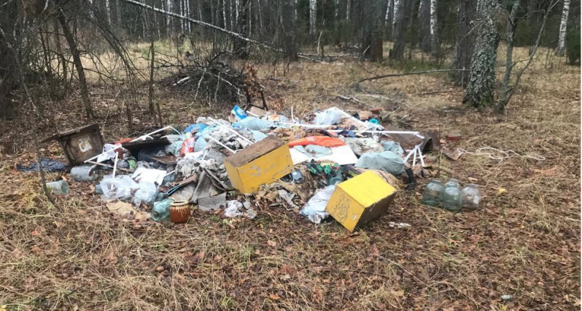 В охотничьих угодьях Владимирской области нашли 7 несанкционированных свалок