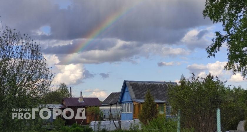 Подскажите, с чего начинать расчищать заброшенный участок?