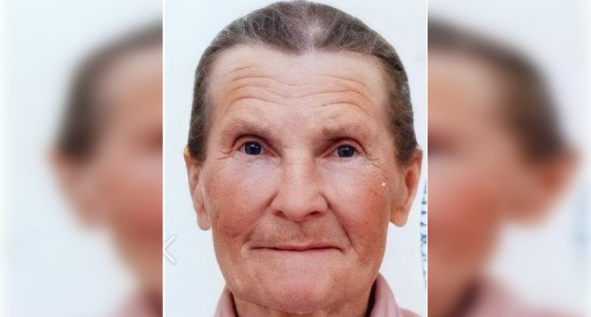 Жителей Владимирской области просят помочь в поисках пропавшей бабушки из Гороховца