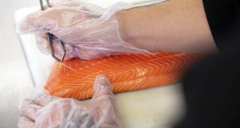 Дмитрий Семенов: «Не вся селедка из магазинов Владимира соответствует нормативным требованиям»