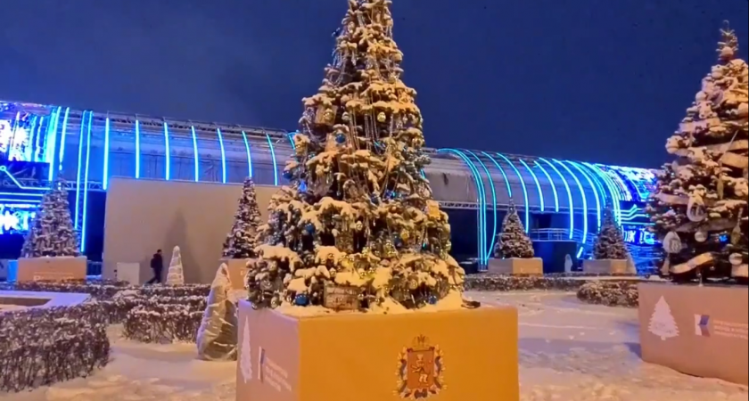 На ВДНХ установили новогоднюю ель от Владимирской области