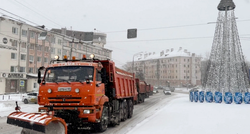 Фото к статье: К уборке Владимира сегодня привлекли 45 машин спецтехники