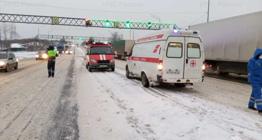 ДТП с пострадавшим: в Вязниковском районе столкнулись 2 фуры