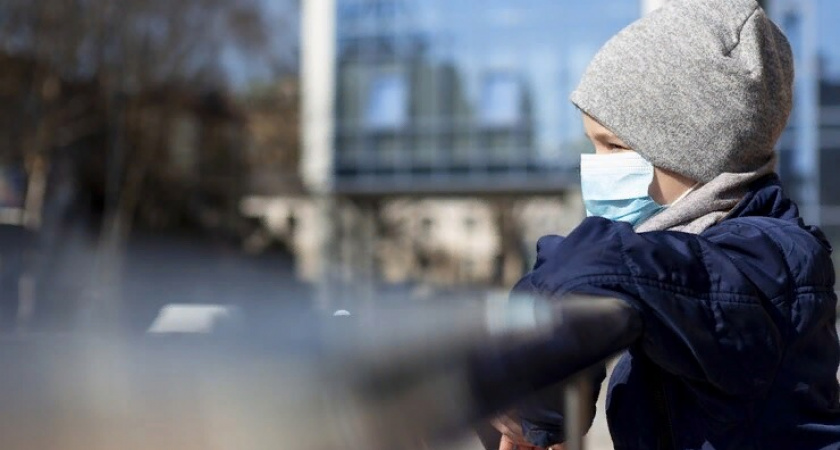 Пропавшего во Владимире 11-летнего мальчика нашли живым 