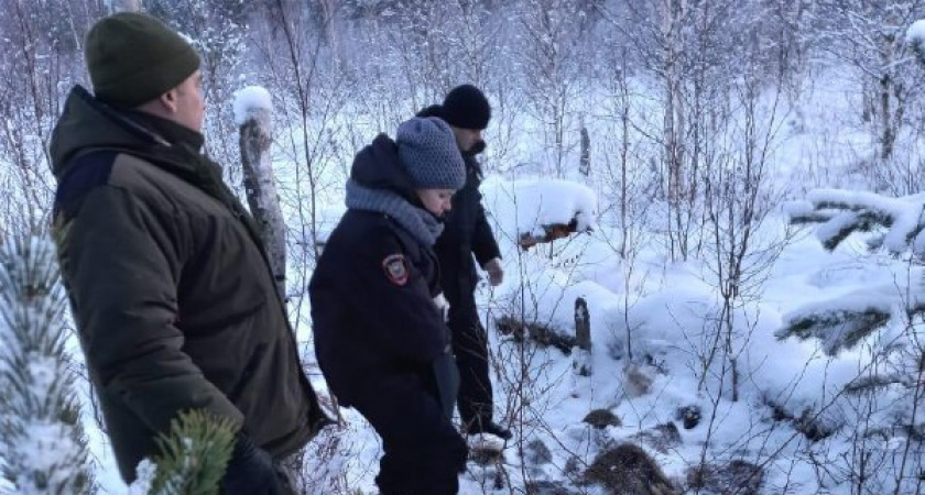 В Вязниковском районе ищут браконьера, убившего лося 