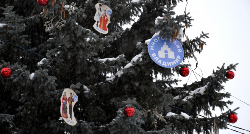 В центре Владимира нарядили межнациональную ёлку 