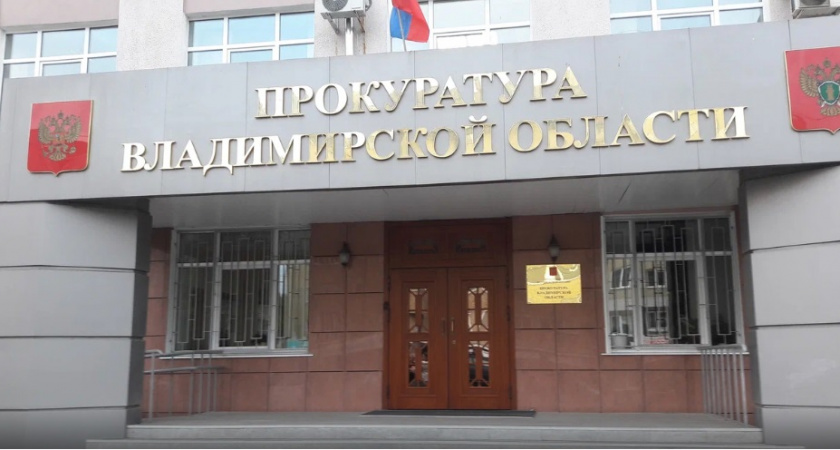 В Собинском районе ребенку пришлось месяц лечиться из-за аниматора