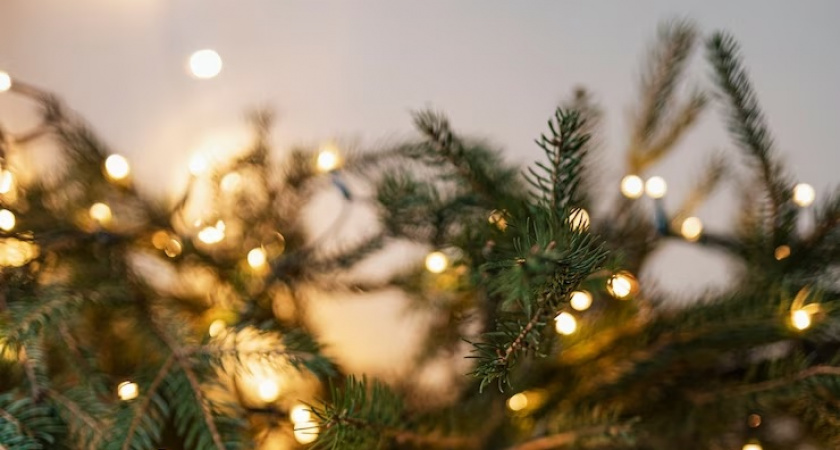 Смертельная гирлянда: перед Новым годом раскрыли всю правду 