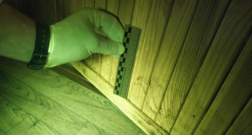 Житель Владимира пойдет под суд за два убийства 