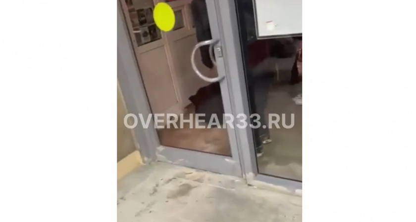 Во Владимире подростки избили мальчика 