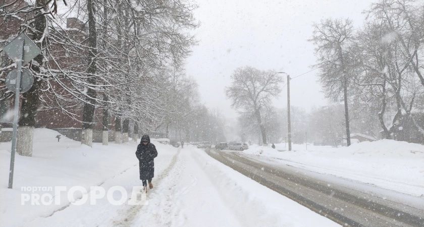 Срочное предупреждение от МЧС: Владимирскую область завалит снегом 
