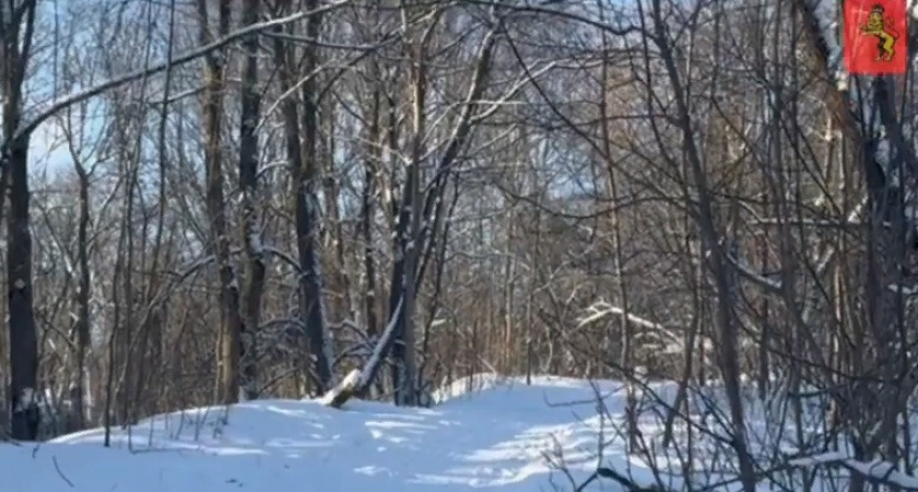 C 15 января во Владимире начнется благоустройство парка у ДТЮ