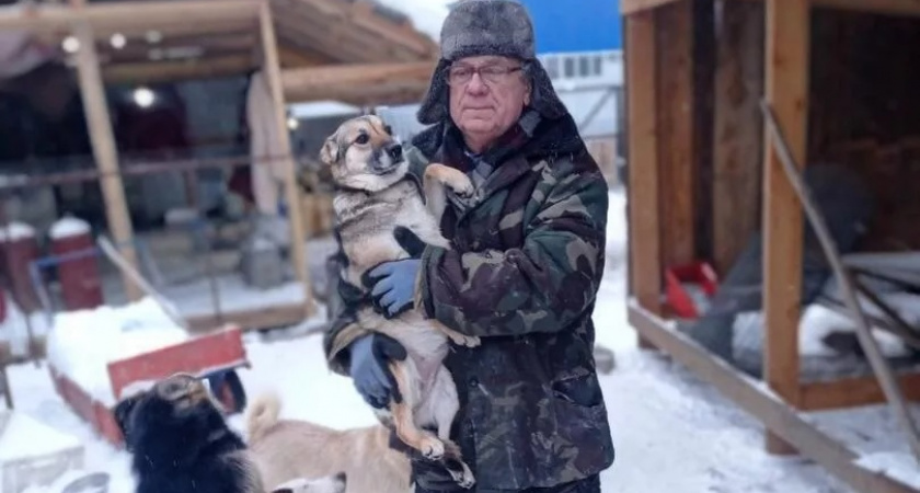 Ради бездомных собак продал всё: пенсионер из Гусь-Хрустального на свои деньги создал приют